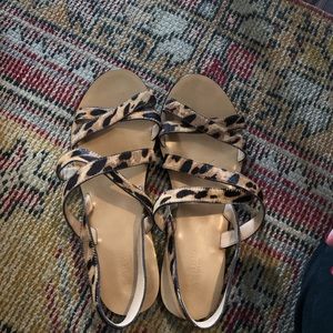 J Crew leopard sandals